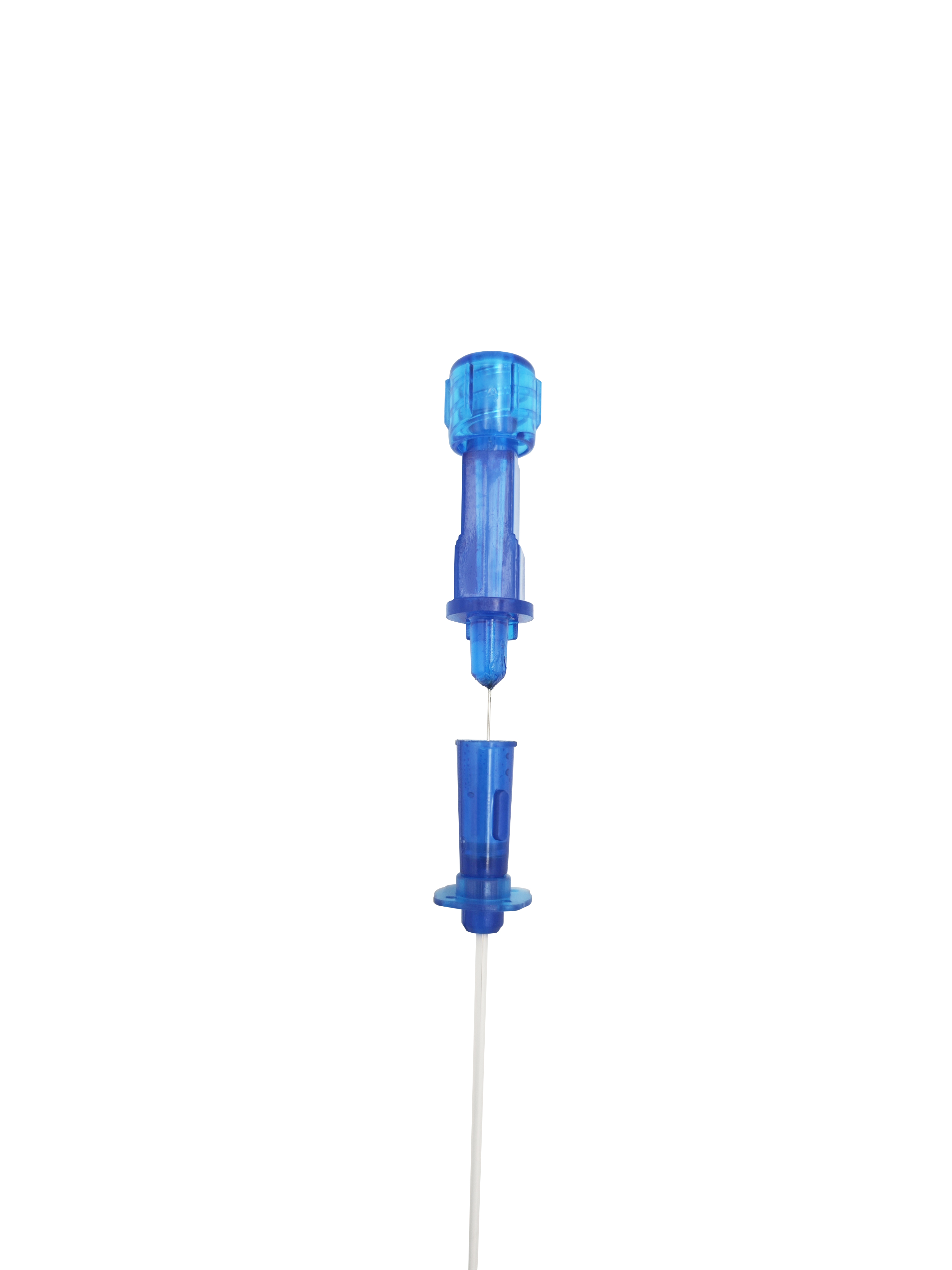 Einzeln Verpackter Einweg-Katz – Xbody Health & Wellness Bewertung und Preis