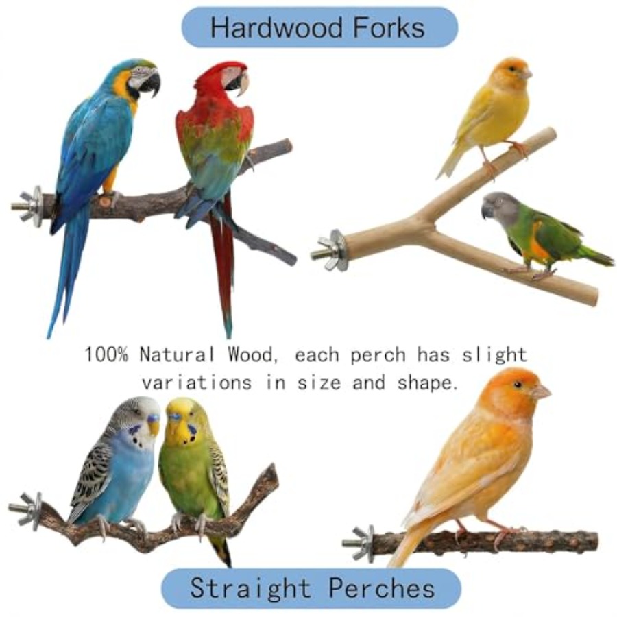 8 Stück Vogelsitzstangen aus N – Health & Wellness Services At Western University Photos Bewertung und Preis